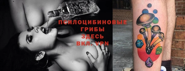 mix Горнозаводск