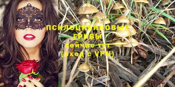 герыч Алексеевка