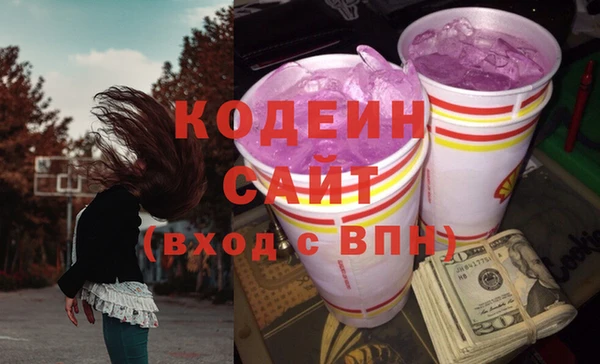 гидра Инта